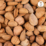 Almond Shell