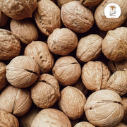 Walnut