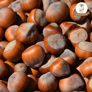 Hazel Nuts - Brown