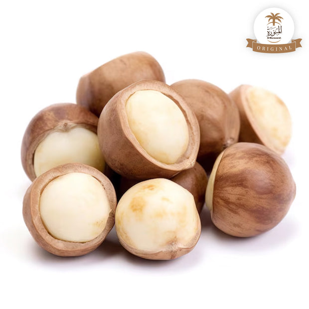 Hazel Nuts - Brown